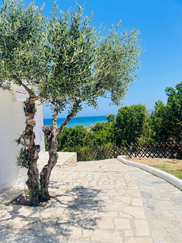 Lassion Golden Bay Sitia  Exterior foto